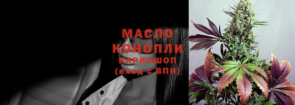 2c-b Каменка