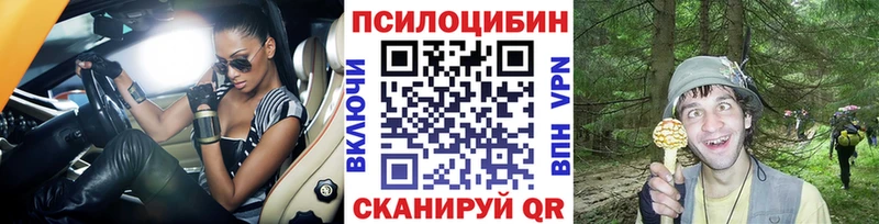 Псилоцибиновые грибы мицелий  Славгород 