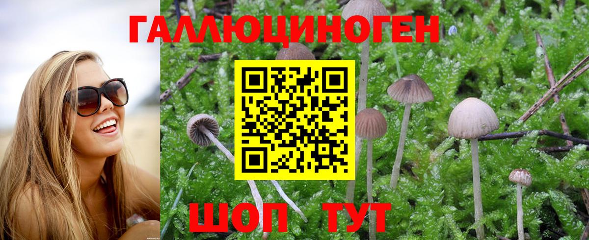 Псилоцибиновые грибы мицелий Славгород