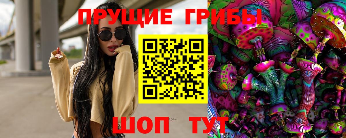 где купить   Вход с VPN  Славгород  Галлюциногенные грибы Magic Shrooms 